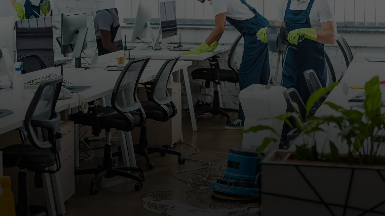 التعقيم الشامل في الرياض